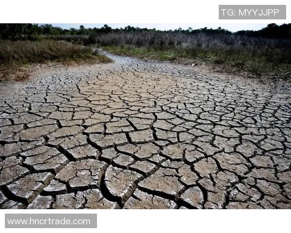 东方日报即时新闻：全球气候变化加剧 极端天气频发各国紧急应对